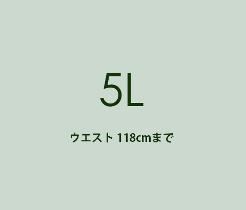 5L